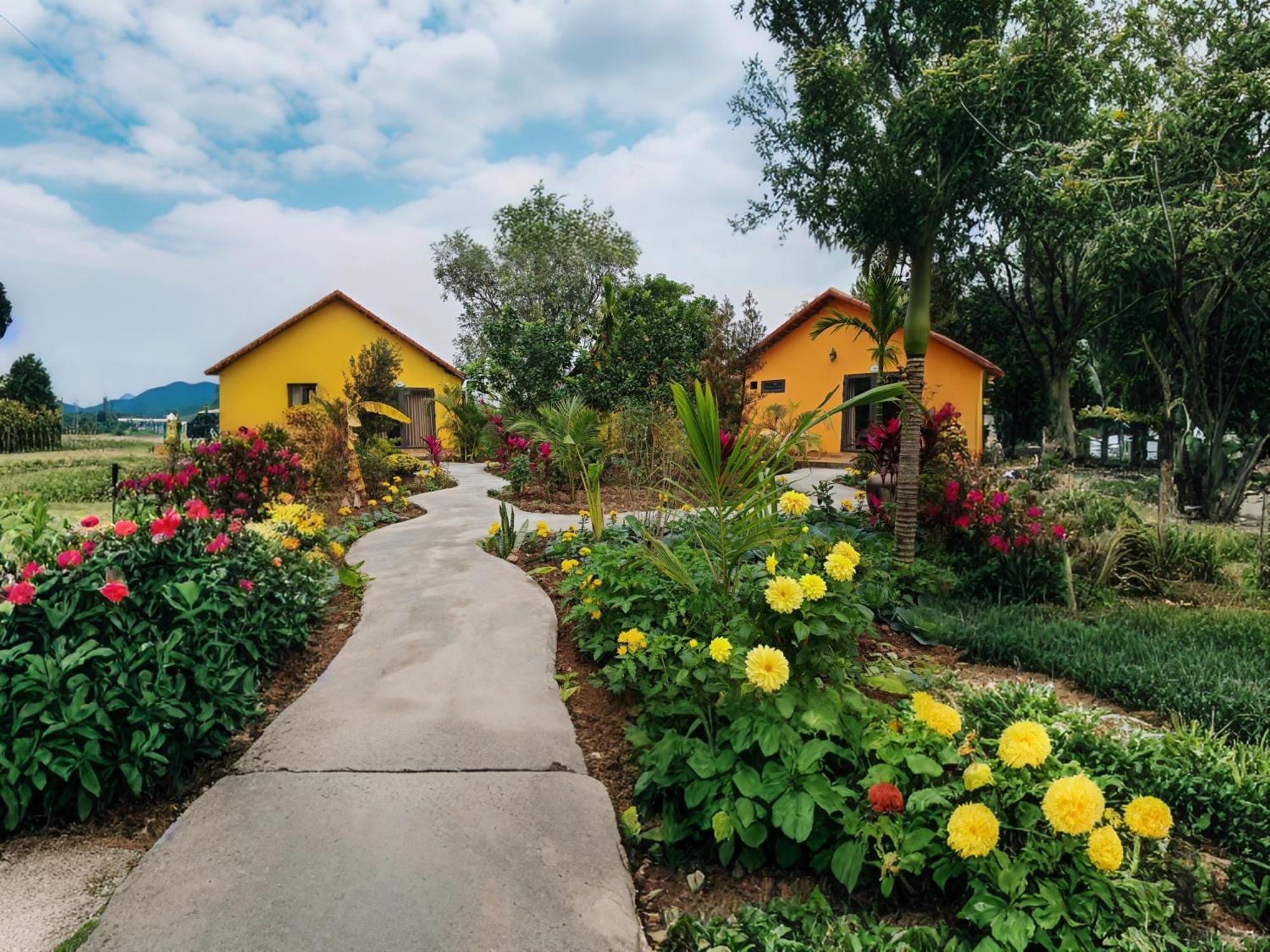 Villa Ninh Binh Peaceful Retreat Exterior foto